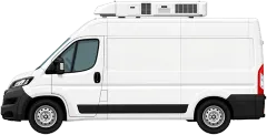 Refrigerated vans for sale